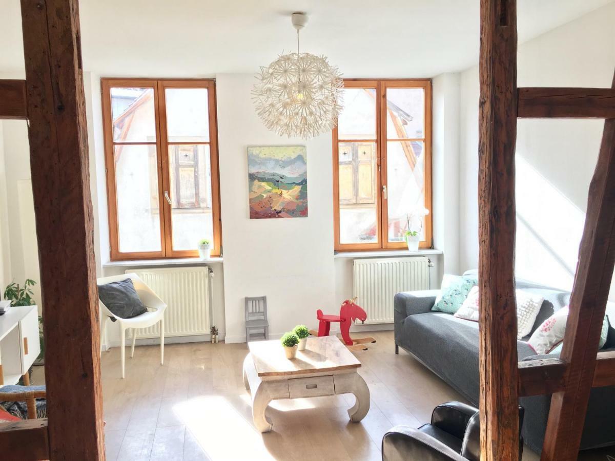 Gite Atelier De Hansi - Colmar Centre المظهر الخارجي الصورة