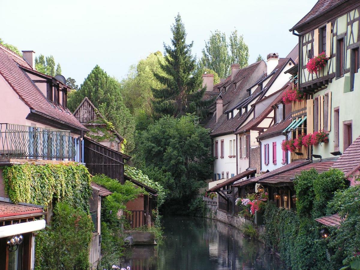 Gite Atelier De Hansi - Colmar Centre المظهر الخارجي الصورة