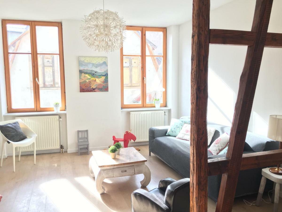 Gite Atelier De Hansi - Colmar Centre المظهر الخارجي الصورة